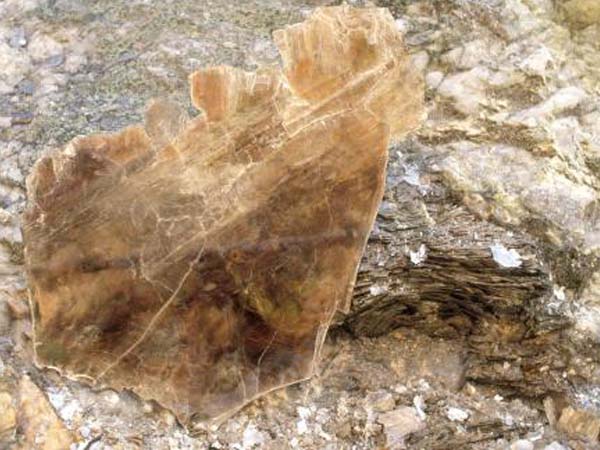 云母含鐵愈高時，顏色愈深，同時多色性和吸收性增強(qiáng)